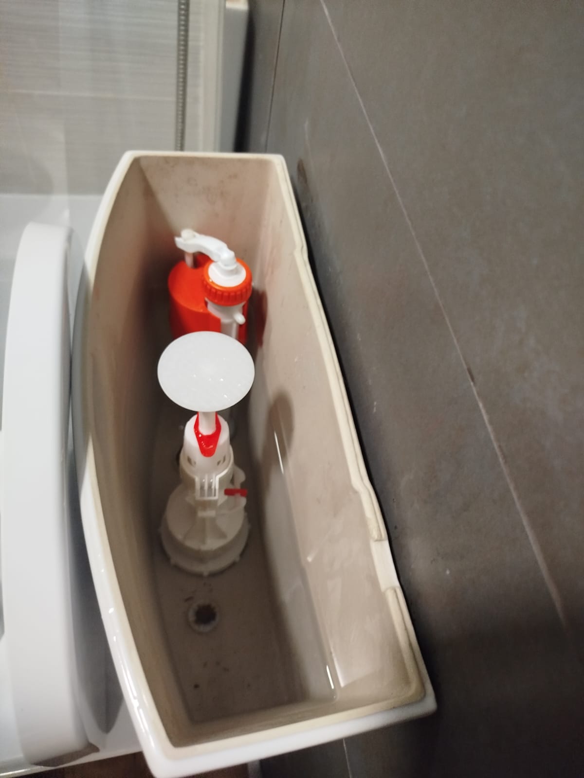 Mecanismo de cisterna que pierde agua, reparación